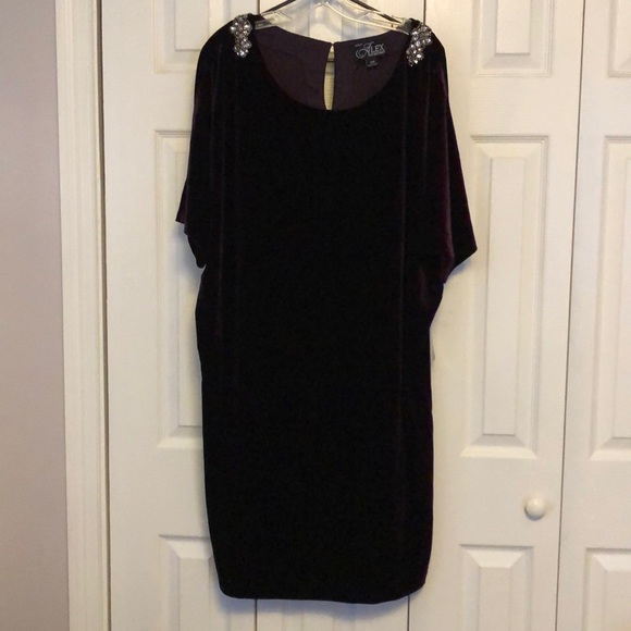Alex Evenings Dresses & Skirts - NWT evening dress